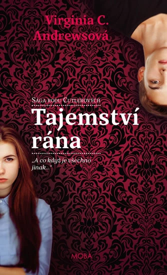 Virginia C. Andrewsová - Tajemství rána
